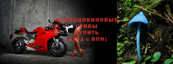 марихуана Абаза