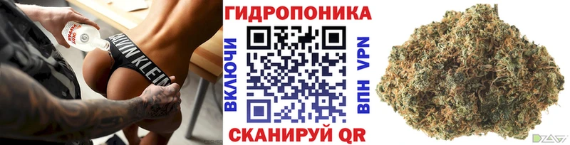 Бошки Шишки марихуана  darknet официальный сайт  Разумное  дарнет шоп 